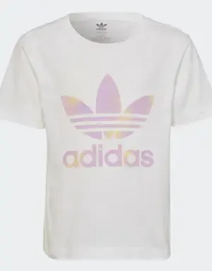Adidas Conjunto camiseta y pantalón corto Graphic Logo